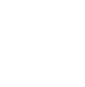 Strata Insurance Group